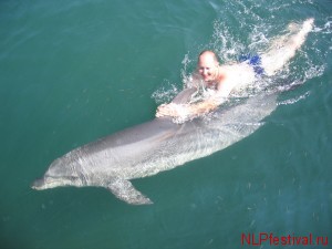 Павел Павлюков, катаюсь на дельфине